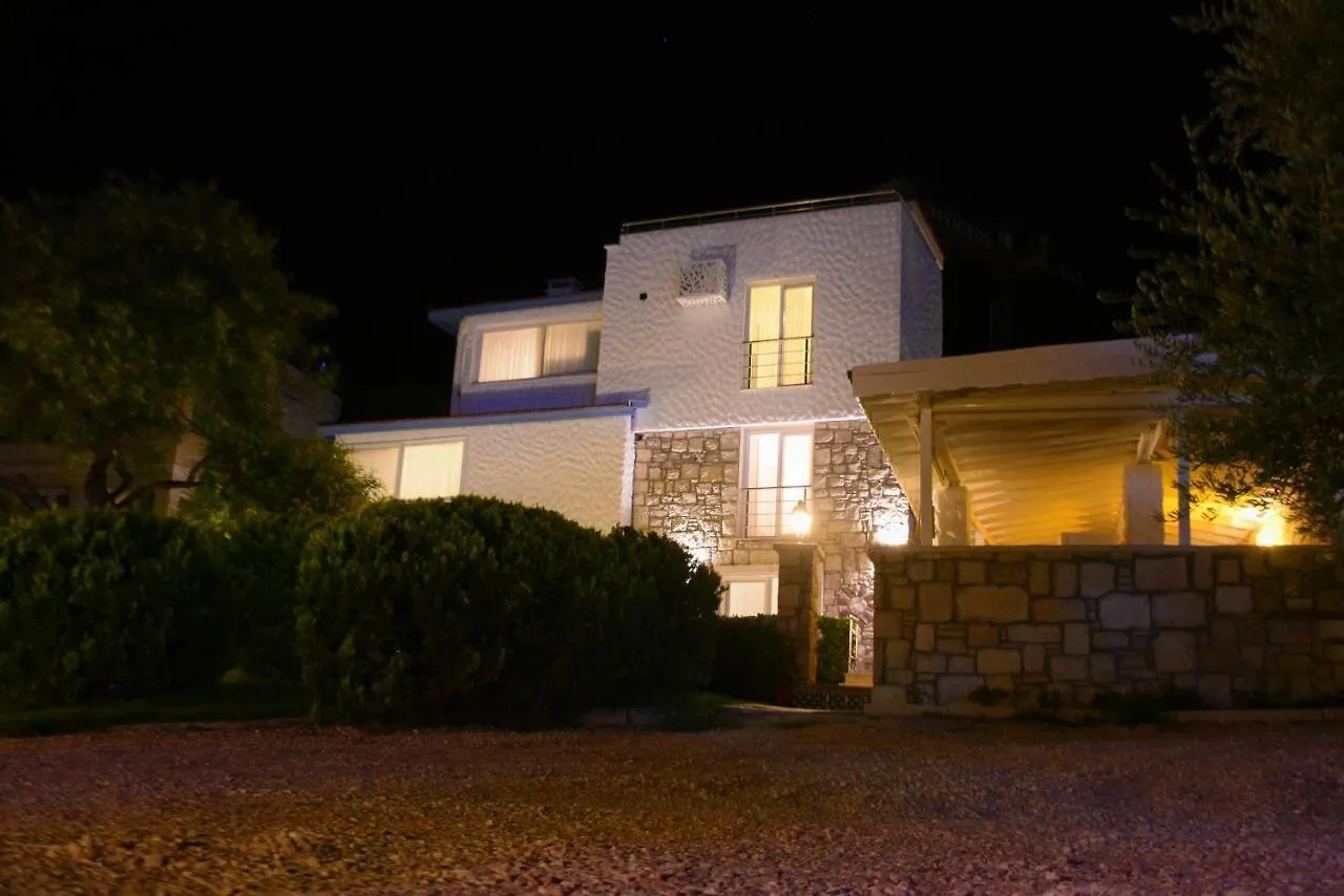 אלאקאטי Tepe Hotel
