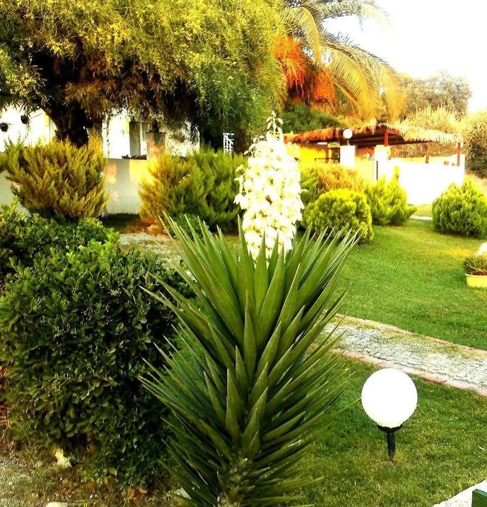 אלאקאטי Tepe Hotel